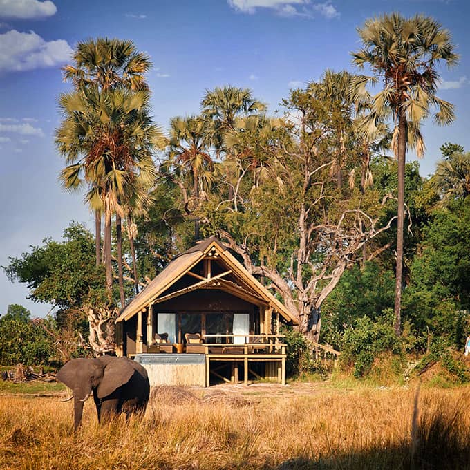 View Belmond Eagle Island Lodge in the Okavango Delta
