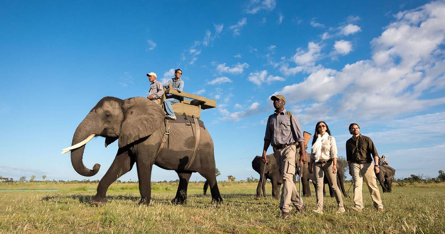 Go on a Walking or Riding Safari with elephants at Abu Camp in Botswana