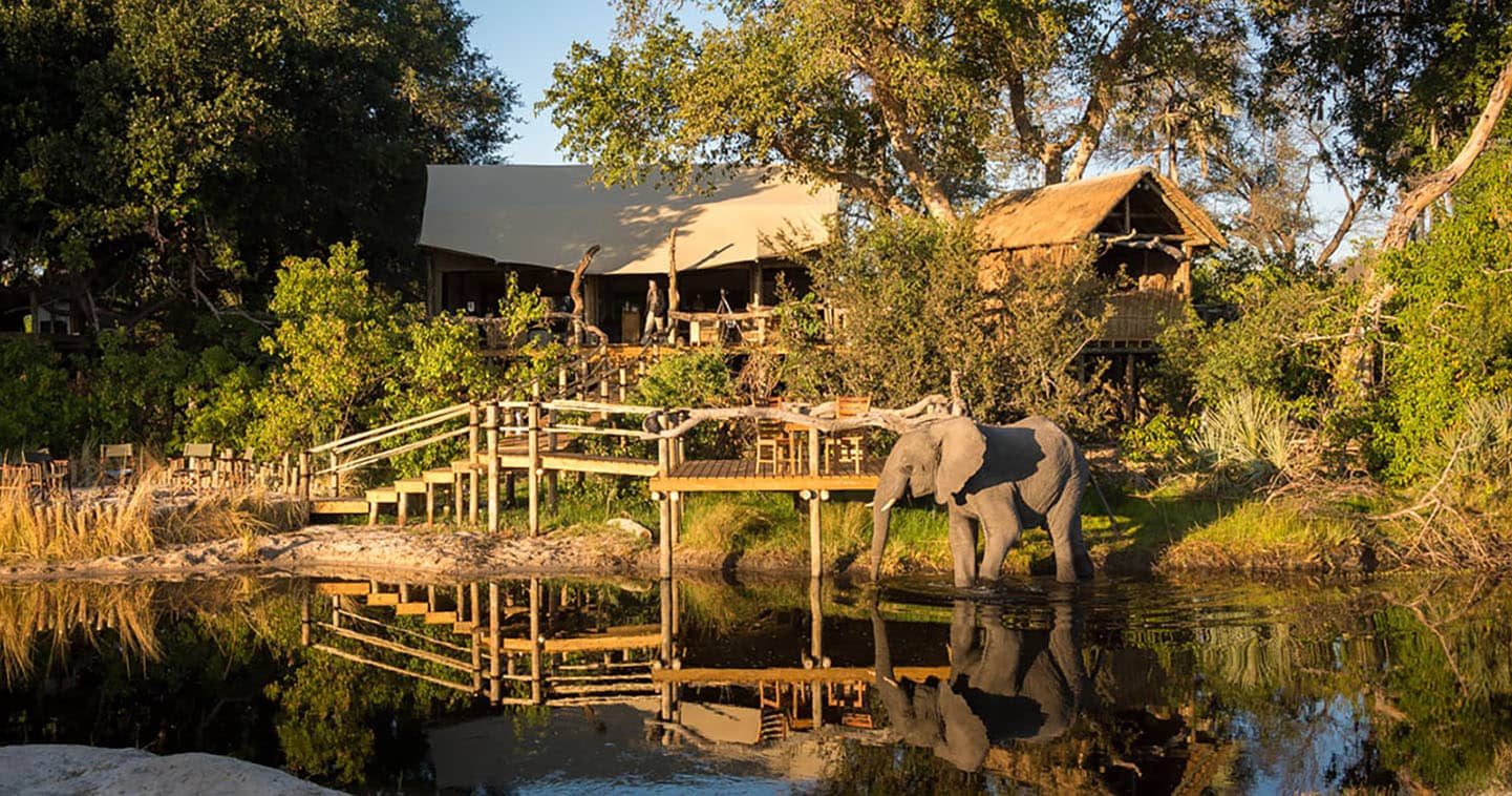 Stay at Little Tubu in the Okavango Delta for the Ultimate Safari Experience