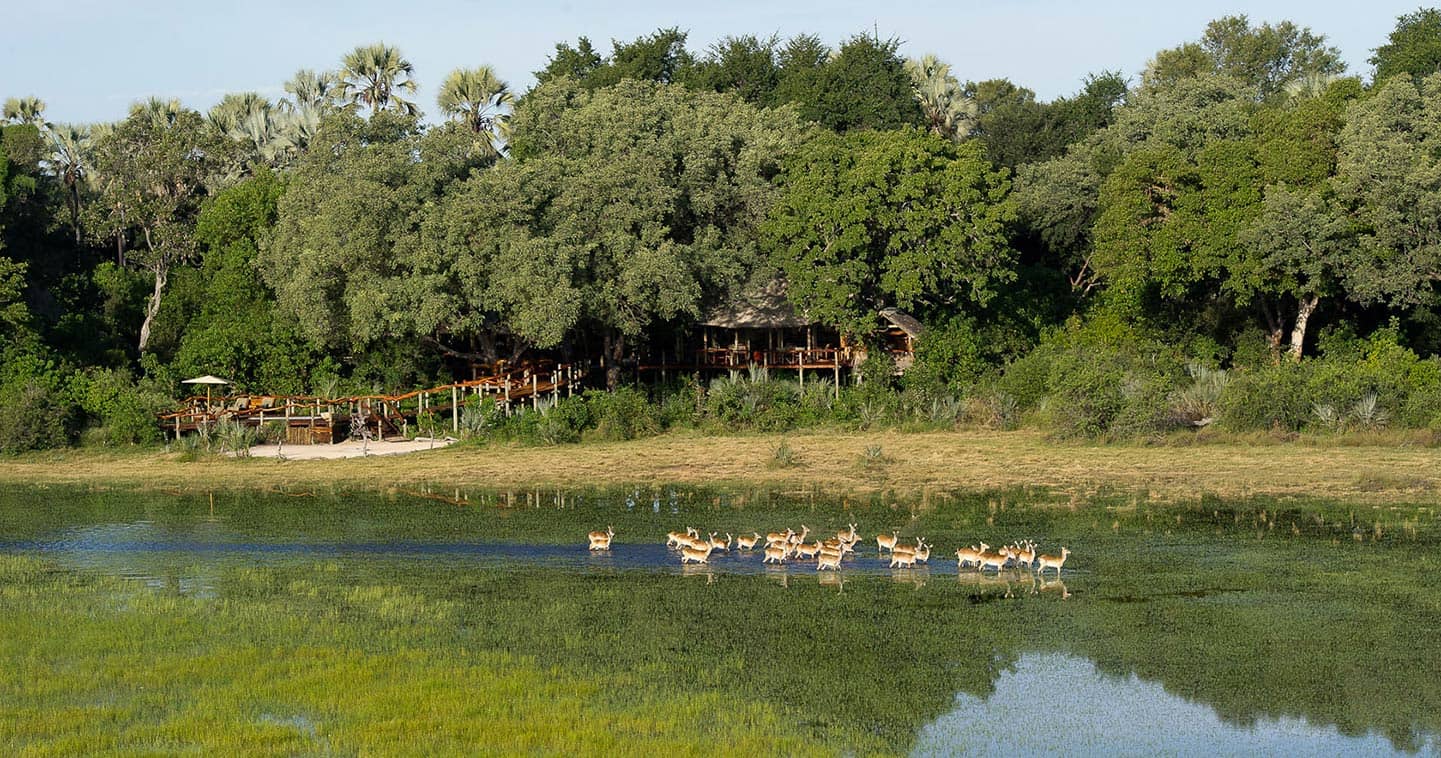 Luxury Lodge Accommodation in the Okavango Delta