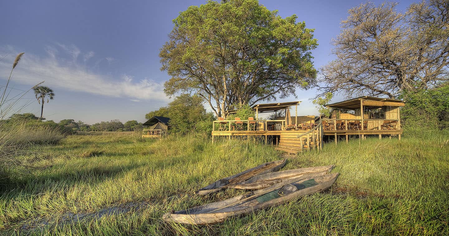 Luxury Okavango Delta Safari at Oddballs Enclave