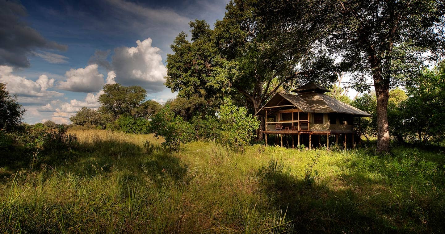 Little Kwara Camp in the Okavango Delta