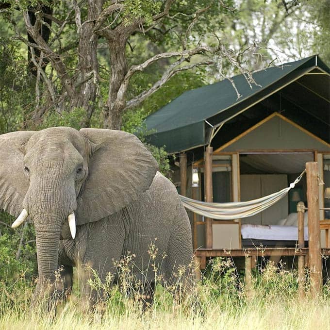 View Sanctuary Botswana lodges