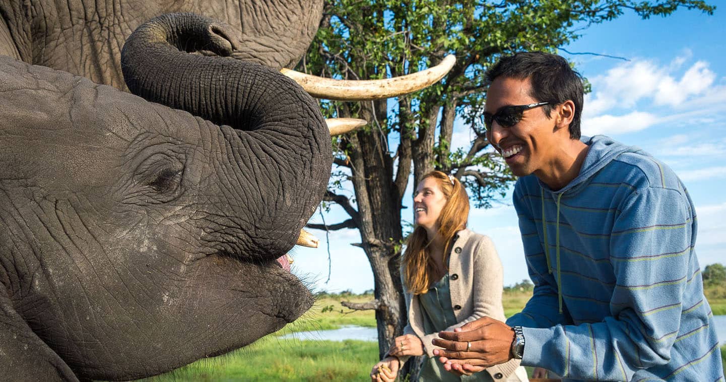 Interact with elephants at Abu Camp in Okavango