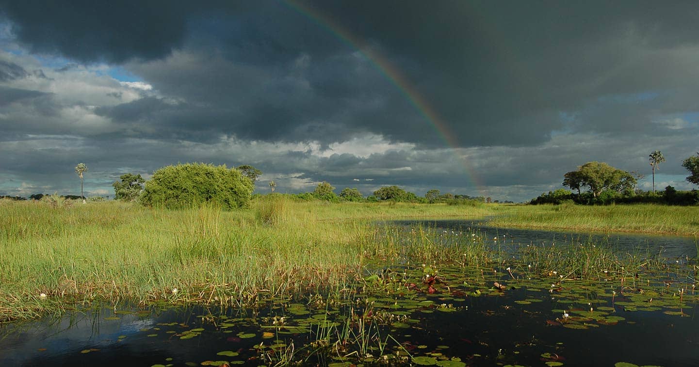 Best time to visit the Okavango Delta