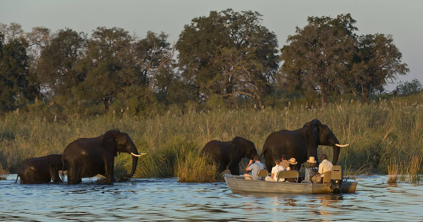 Incredible Water Safari with Duma Tau