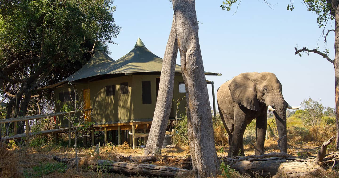 Little Vumbura Camp for a Botswana Safari