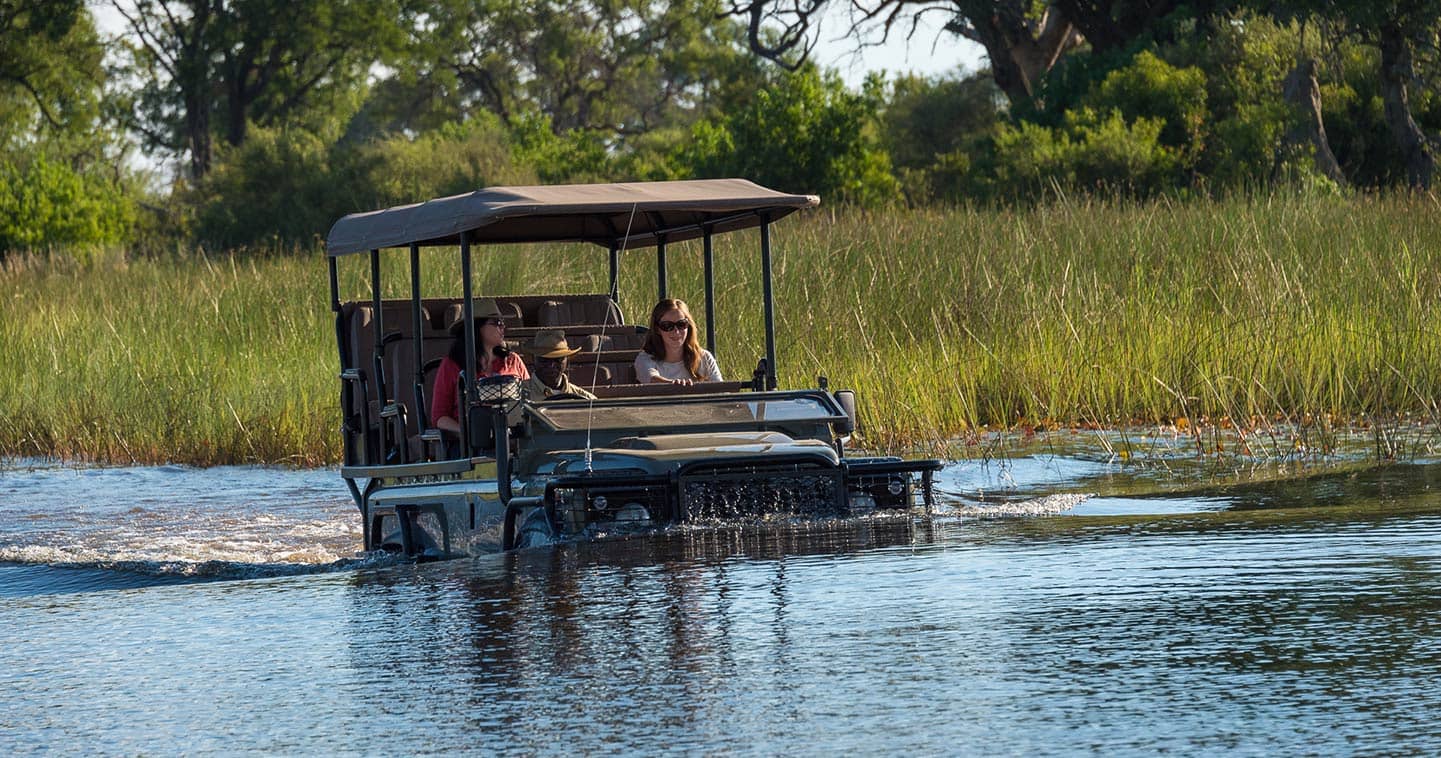 Botswana safari in Okavango Delta