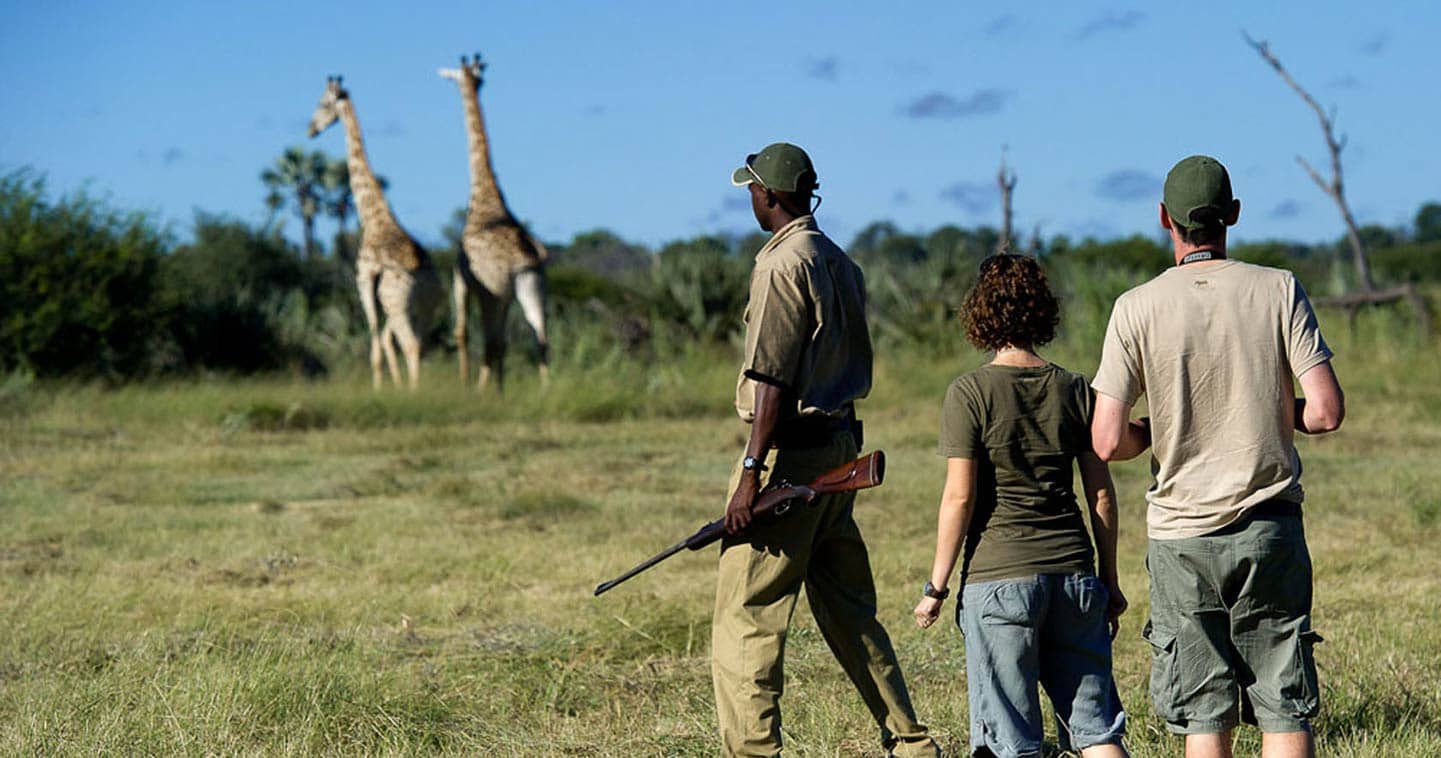 Botswana safari Okavango game walk