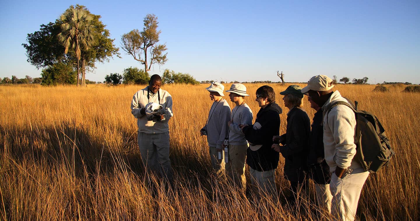 Enjoy a Walking Safari with Camp Okavango in the Okavango Delta