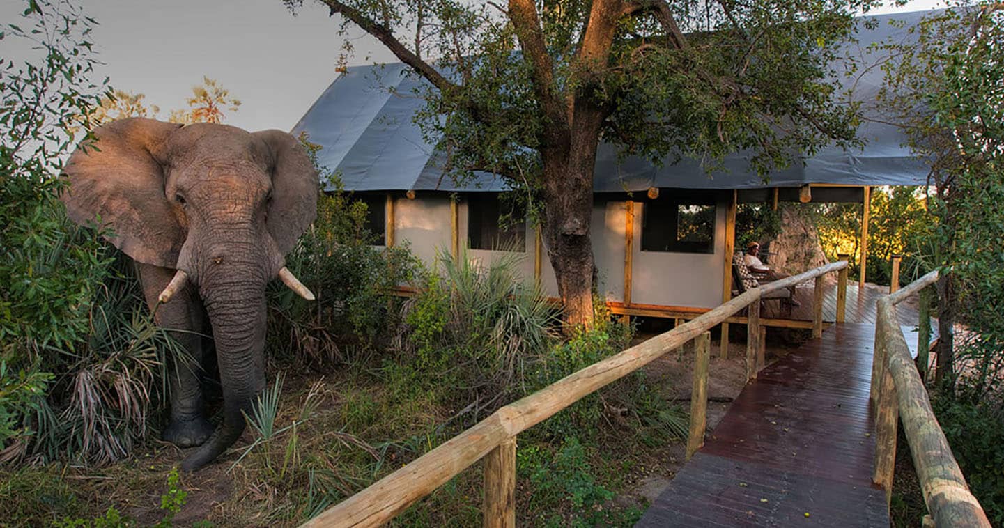 Stay at Chitabe Lediba in the Okavango Delta for the Ultimate Safari Experience