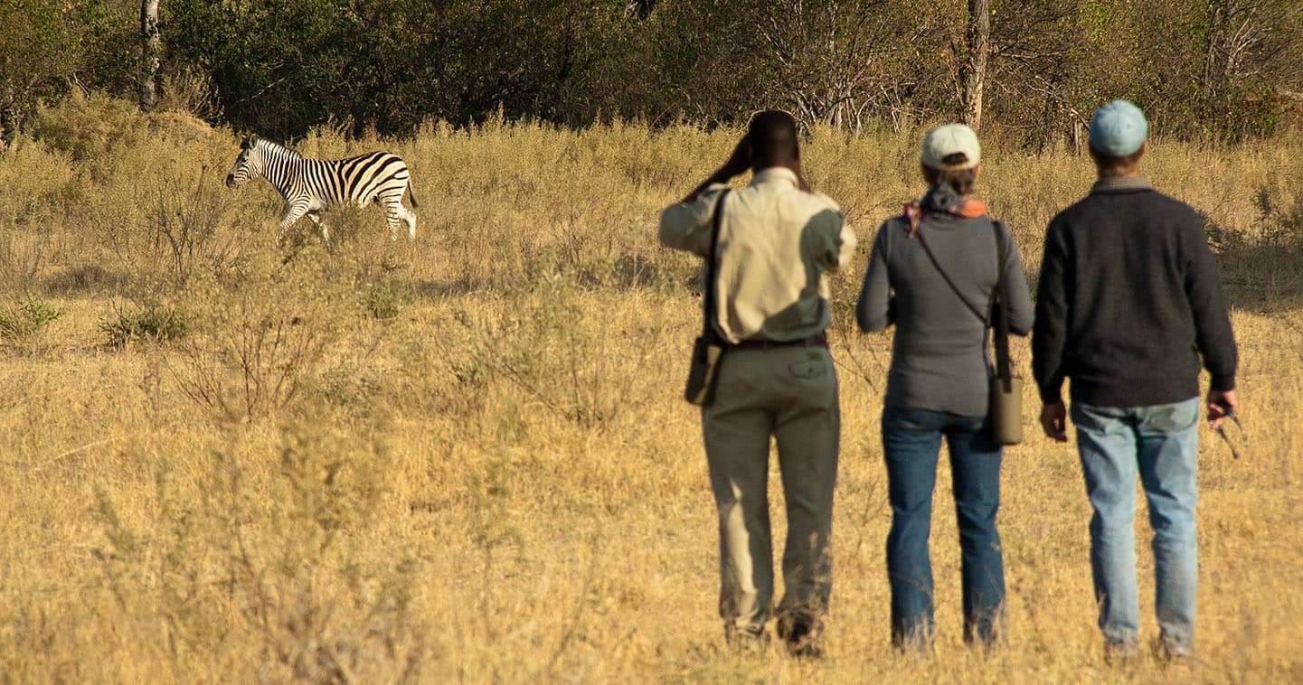 Enjoy a Walking Safari with Delta Camp in the Okavango Delta