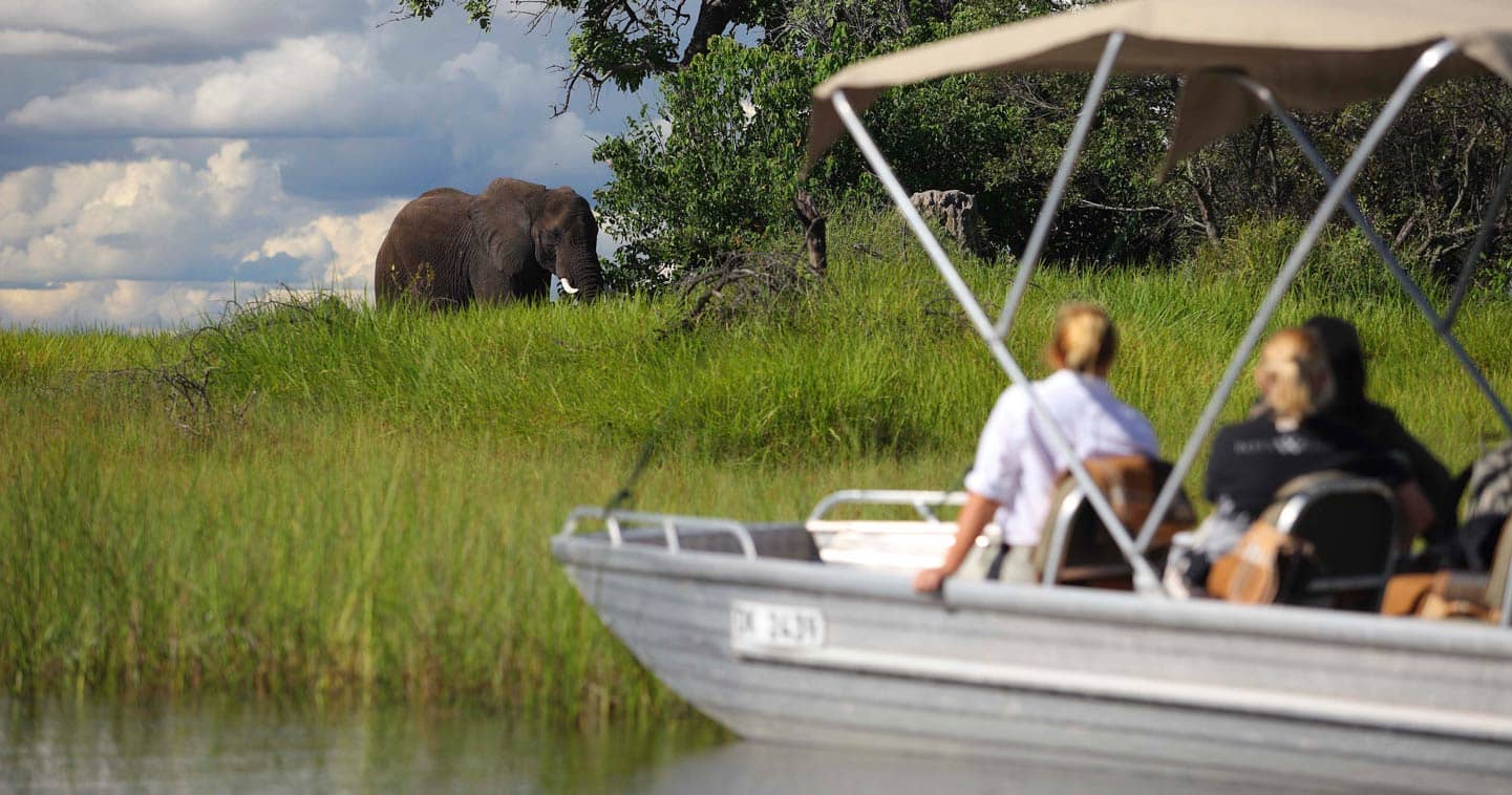Elephants near Xudum Okavango Delta Lodge in the Okavango Delta