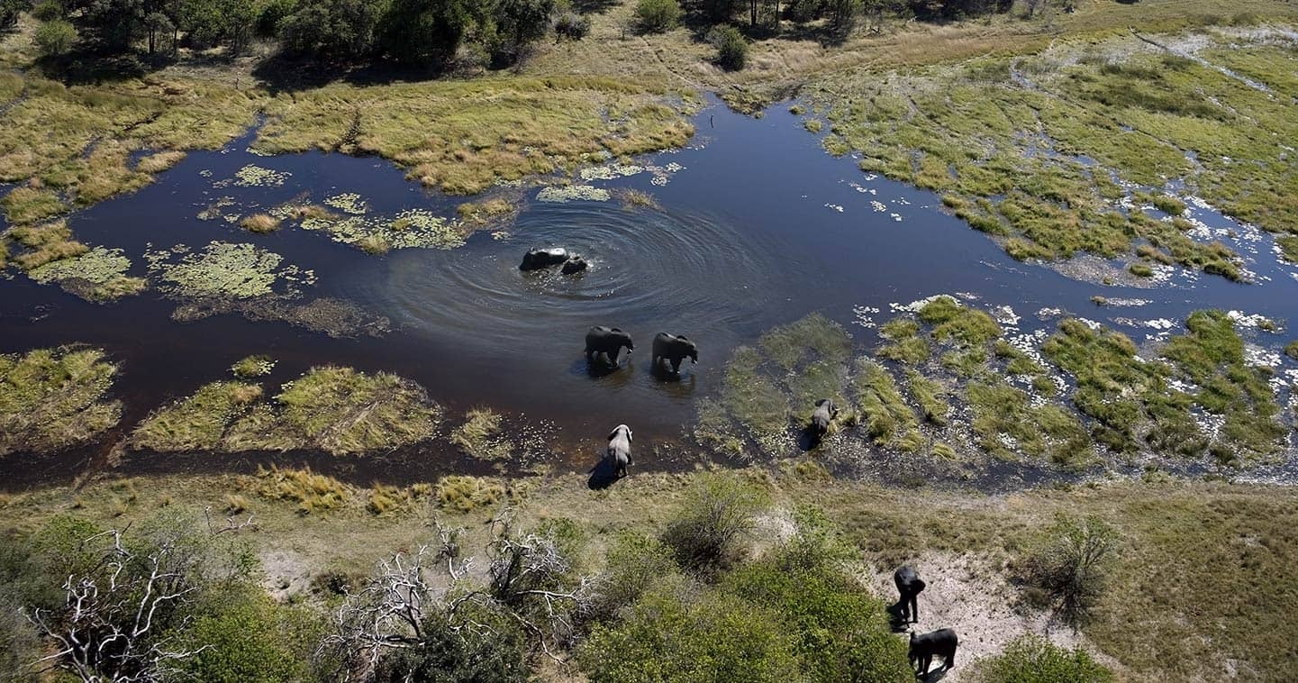 Flooding in the Okavango Delta