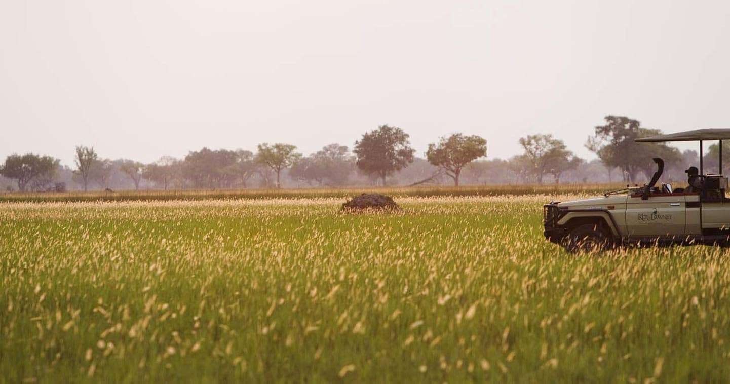 Let Shinde Camp take you on Game Drive in the Okavango Delta