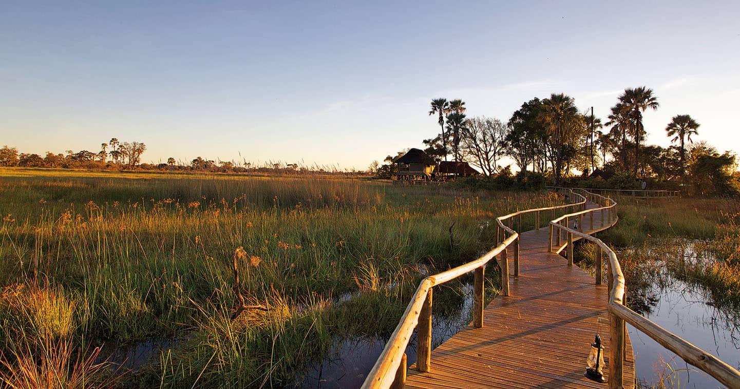 Stay at Gunns Camp in the Okavango Delta for the Ultimate Safari Experience