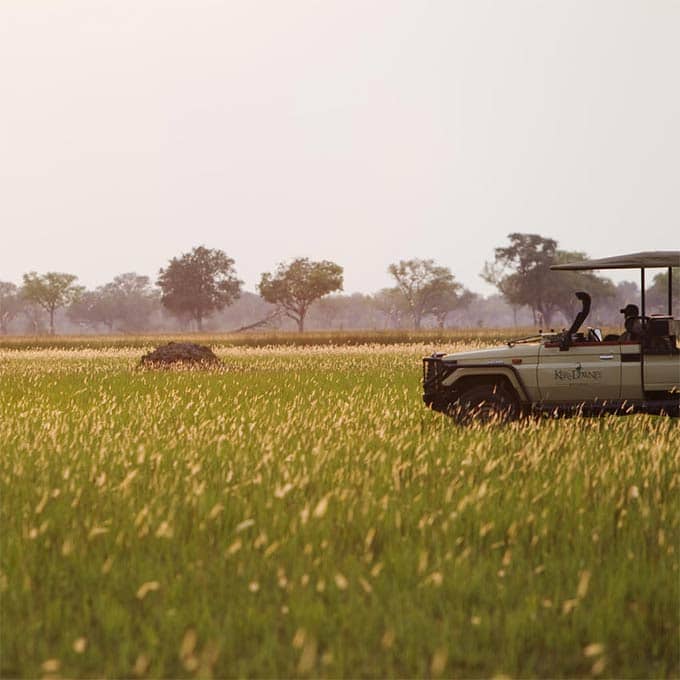 safari reisen okavango delta