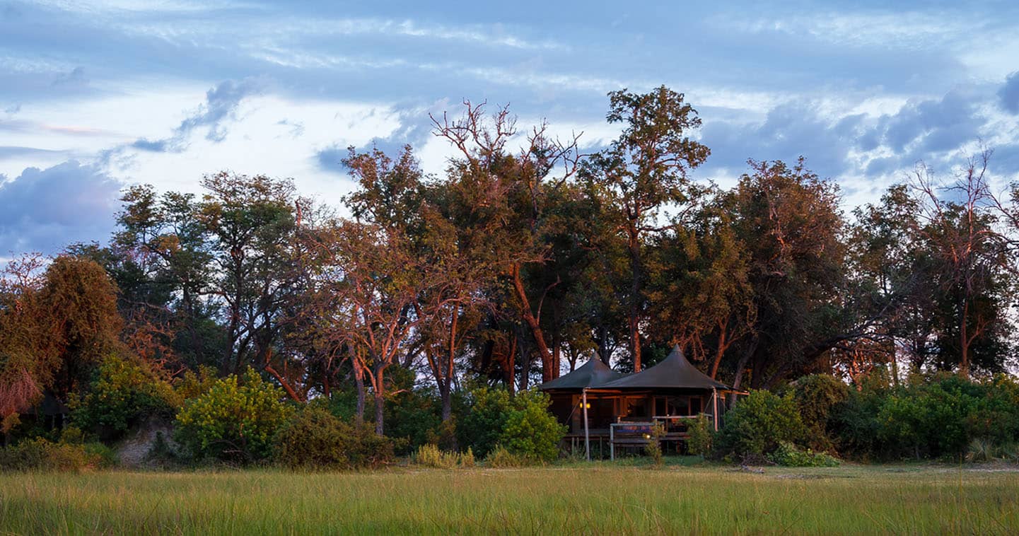 Enjoy a Luxury Safari at Little Vumbura Camp in Okavango Delta