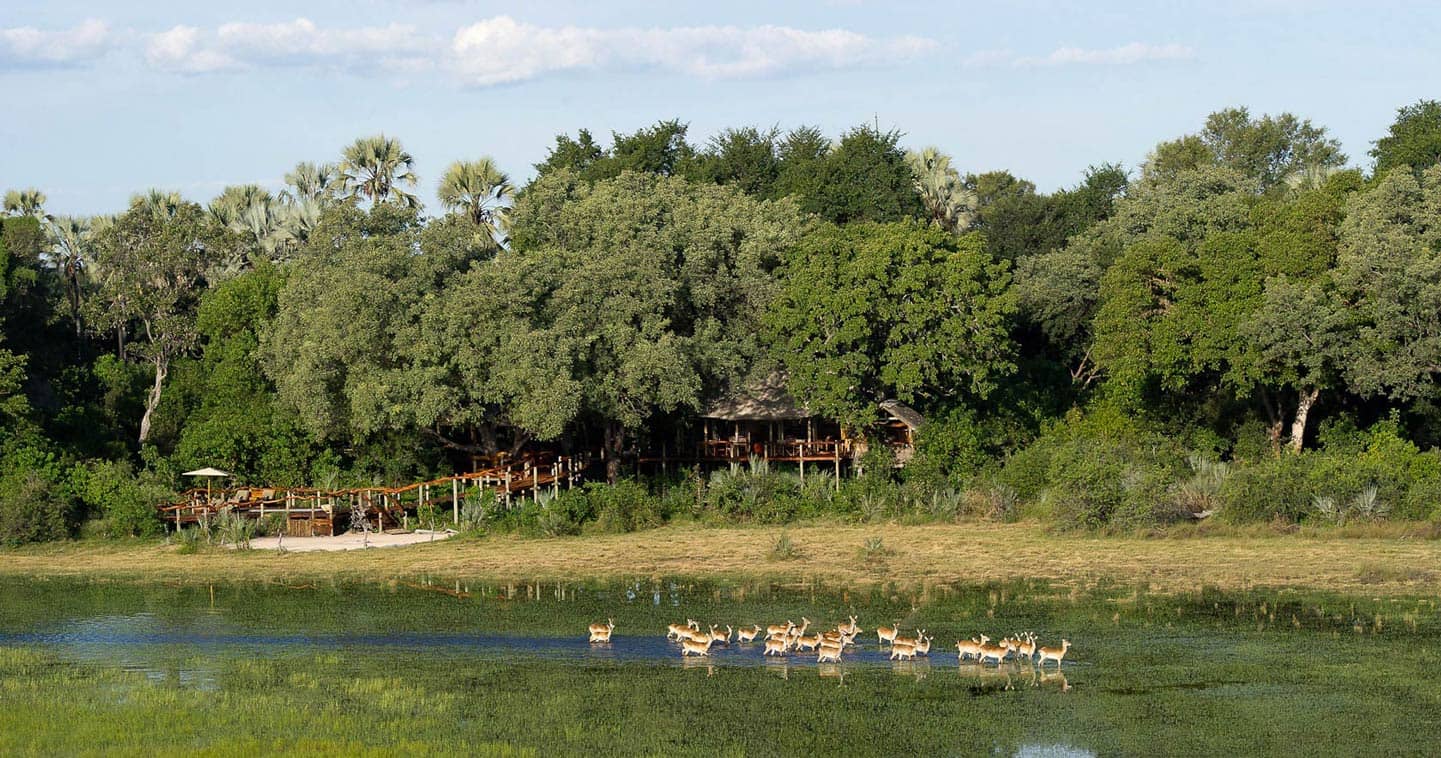 Luxury Okavango Delta Safari at Tubu Tree Camp
