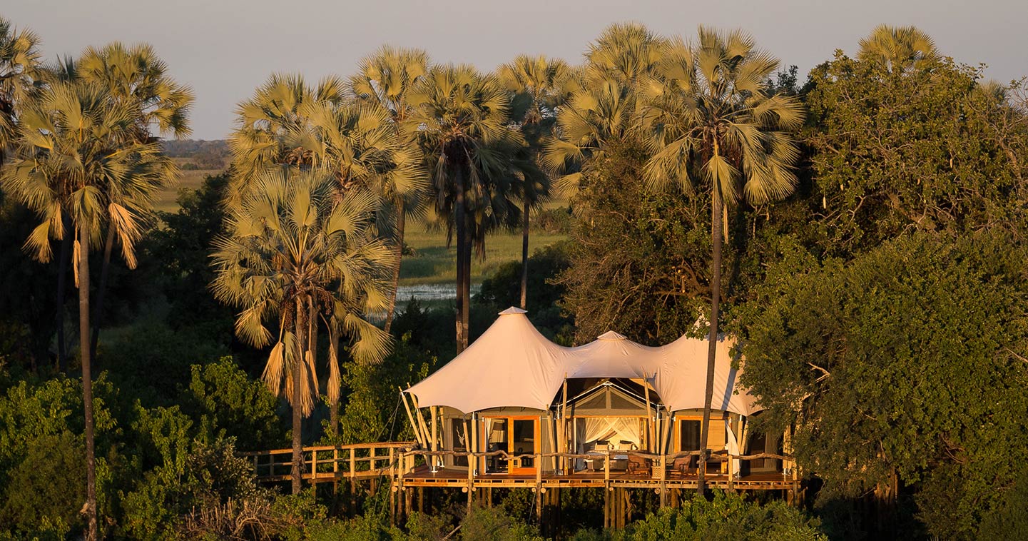 Enjoy a Luxury Safari in Okavango Delta an Stay at Kwetsani Camp
