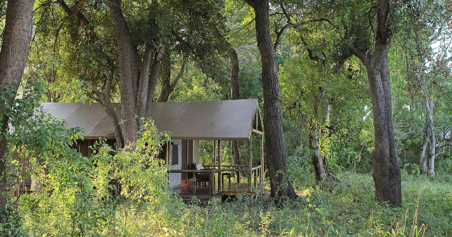 Enjoy a Luxury Safari at Shinde Camp in Okavango Delta