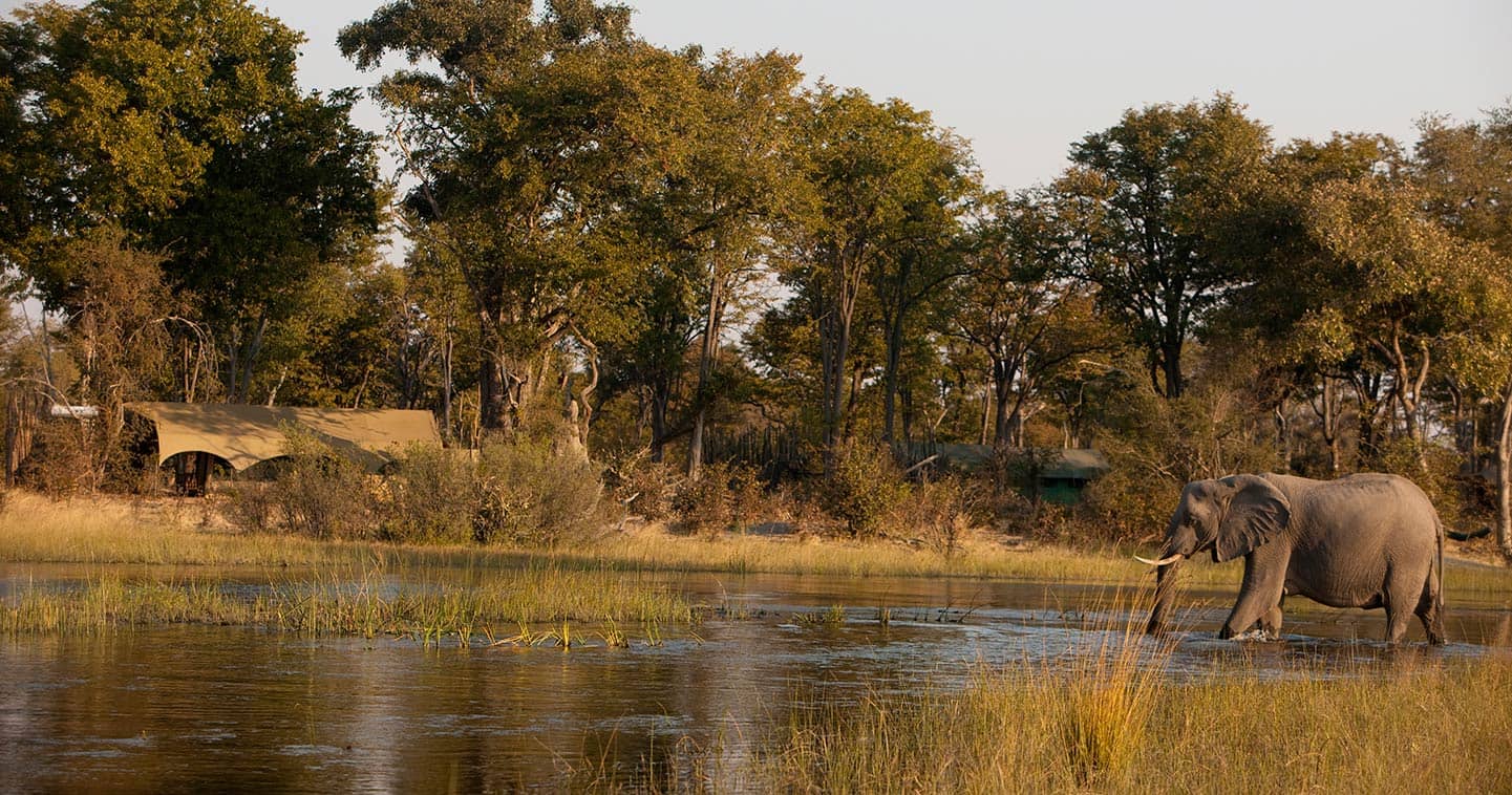 Selinda Camp in the Okavango Delta