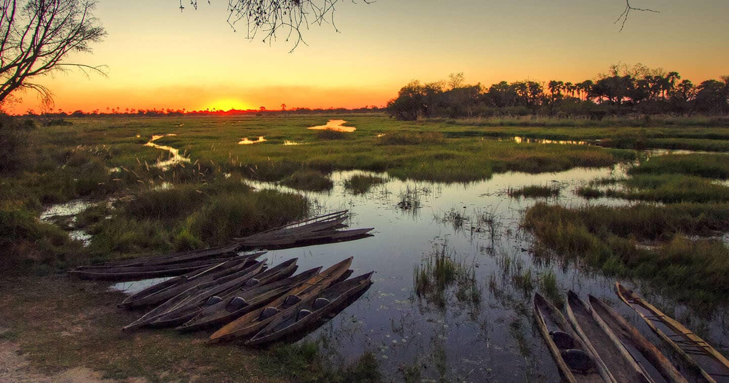 Let Oddballs Camp take you on Mokoro Safari in the Okavango Delta