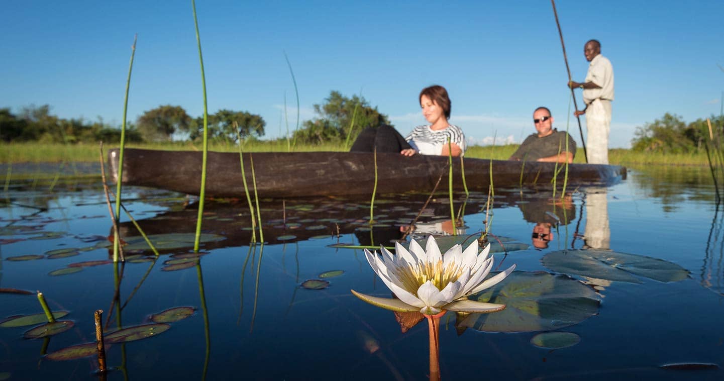 Let Pelo Camp take you on Mokoro Safari in the Okavango Delta
