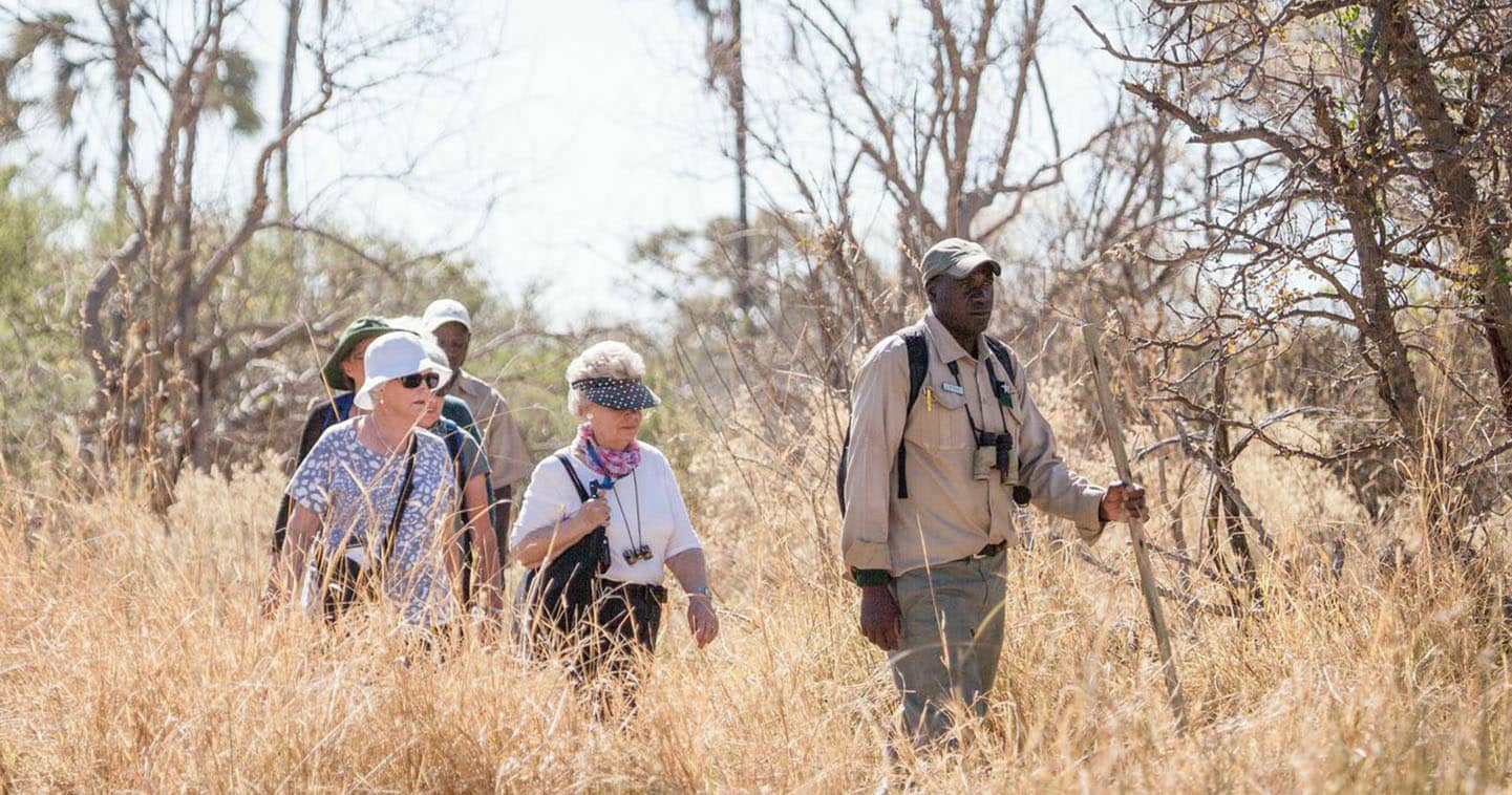 Explore the Ogavango Delta on a Game Walk when Staying at Moremi Crossing