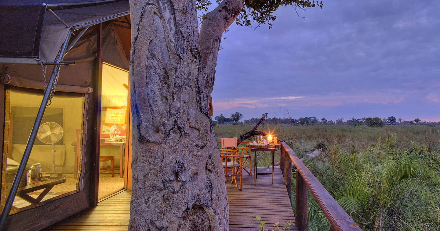 View from Nxabega Okavago Tented Camp over the Surrounding Bus