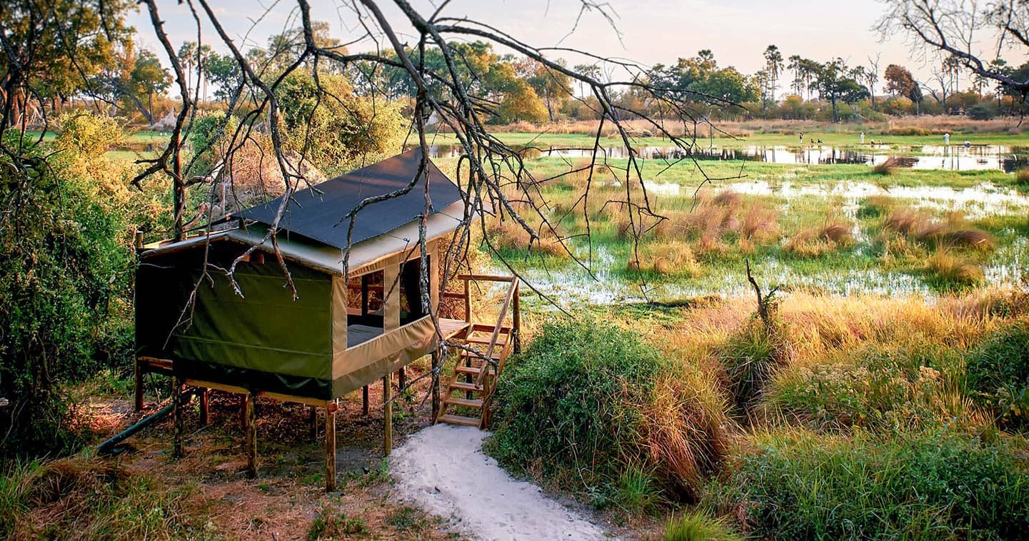 Outdoor living at Oddballs Camp in the Okavango Delta