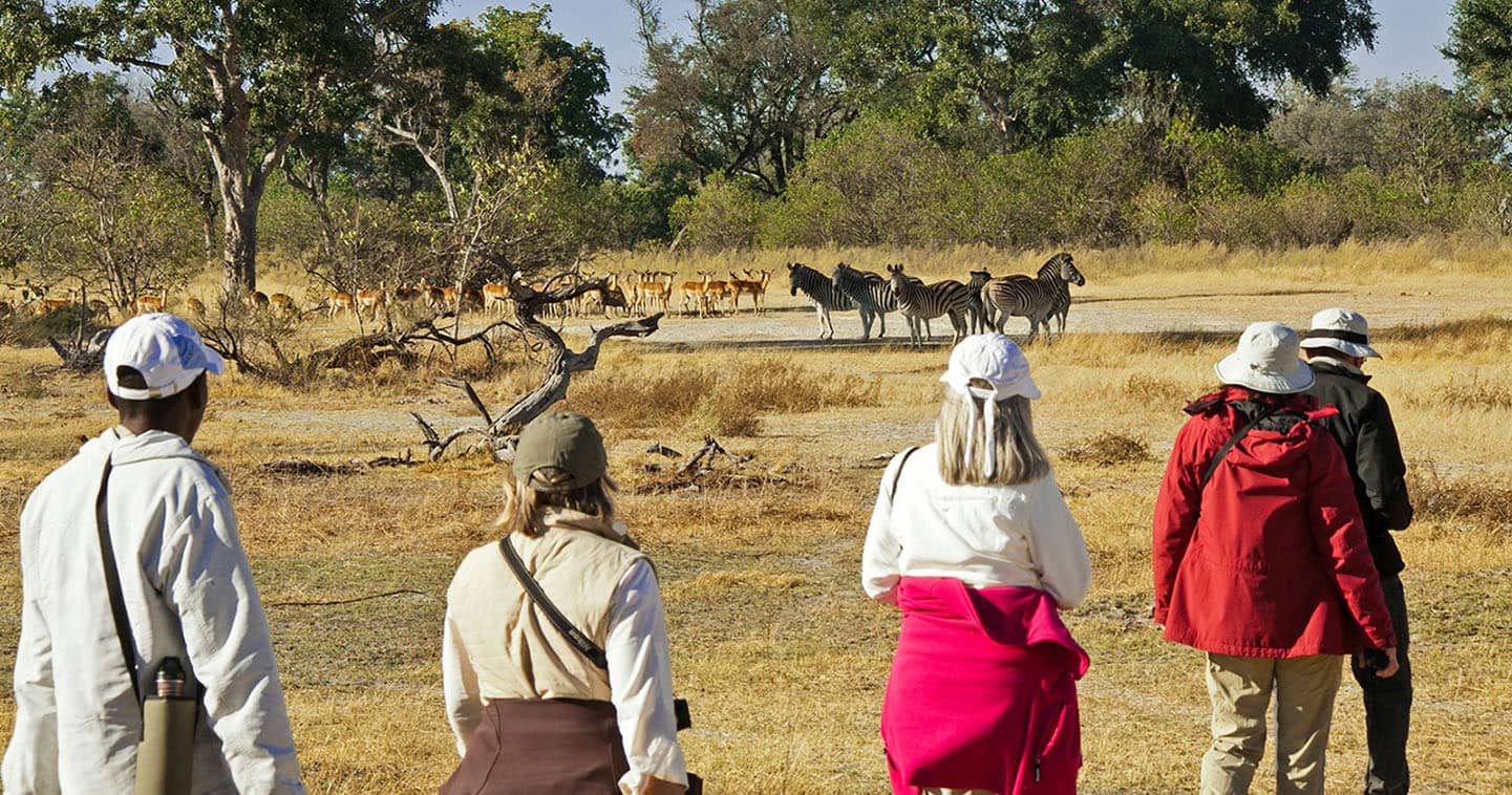 Explore the Ogavango Delta on a Game Walk when Staying at Oddballs Enclave