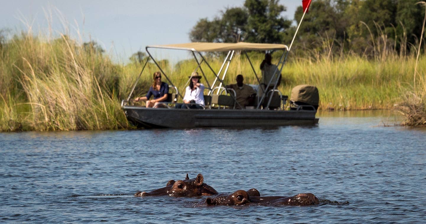 Arrival in the Okavango Delta