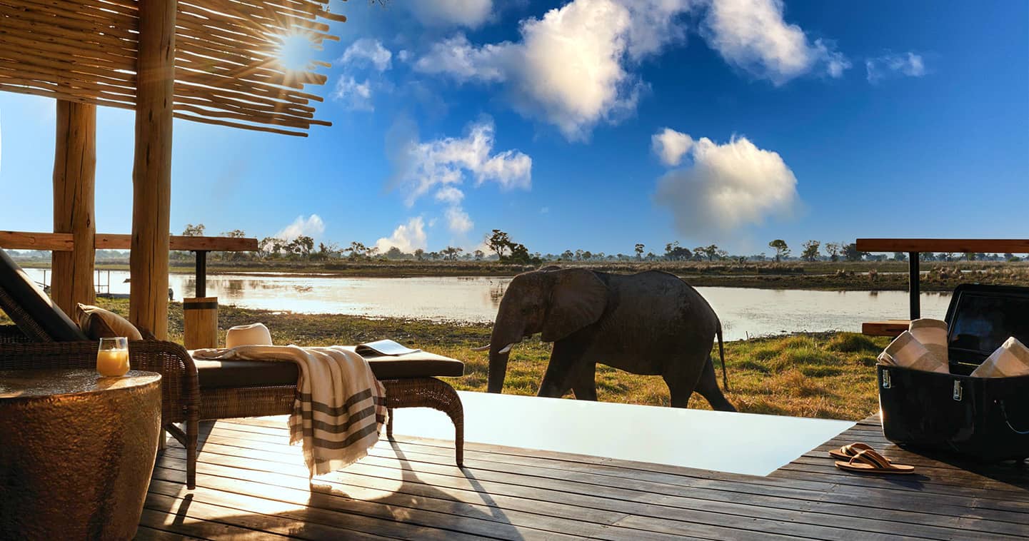 Private plunge pool at Belmond Eagle Island Lodge in the Okavango Delta in Botswana