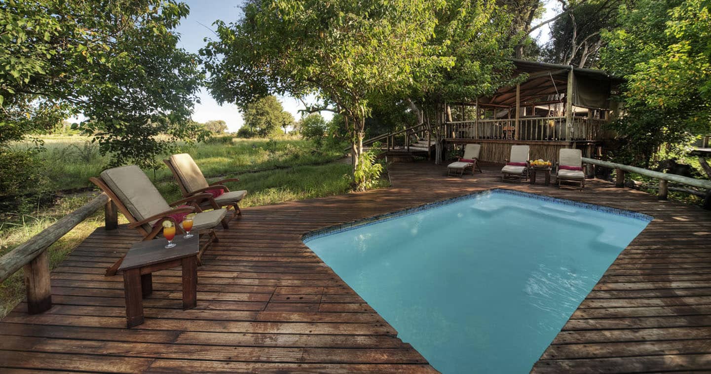 The Pool at Little Kwara Camp in the Okavango Delta