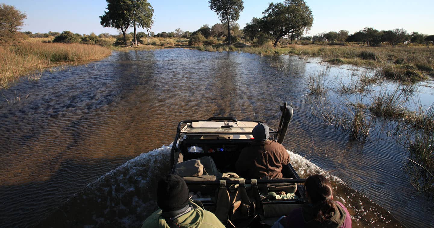 Incredible Safari Game Drive with Duba Plains