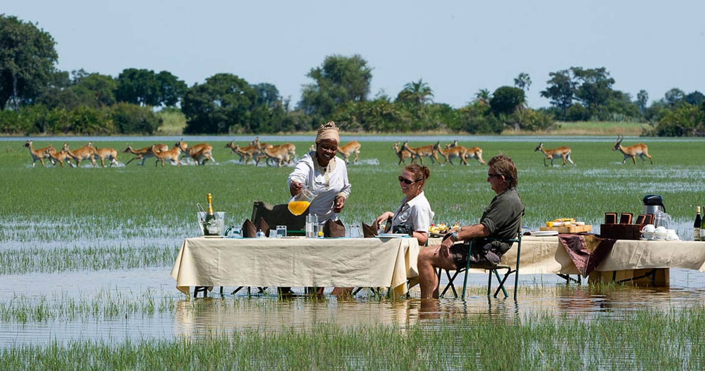 okavango delta safari