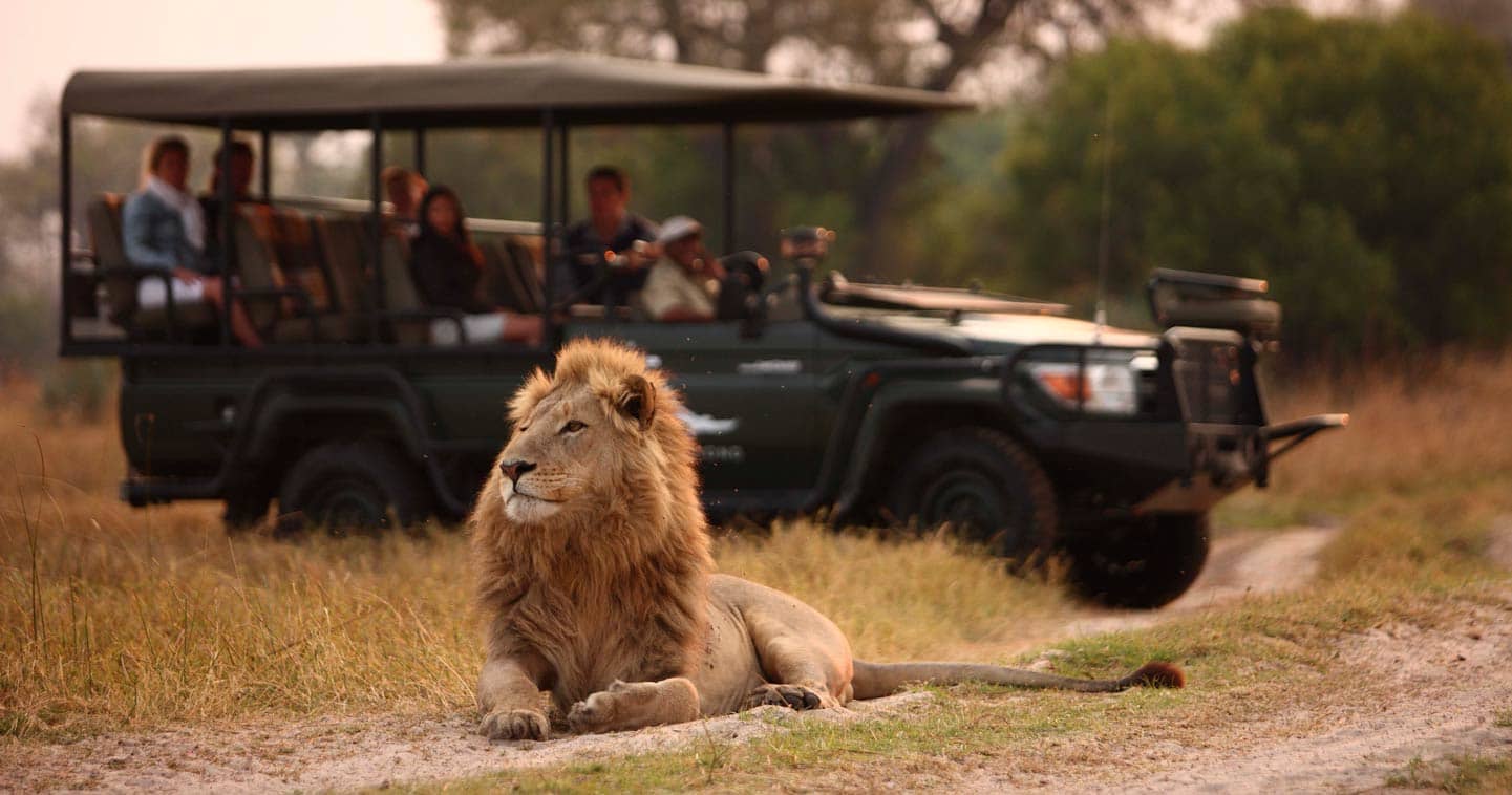 Game Drive at Sandibe Okavango Safari Lodge in Okavango Delta