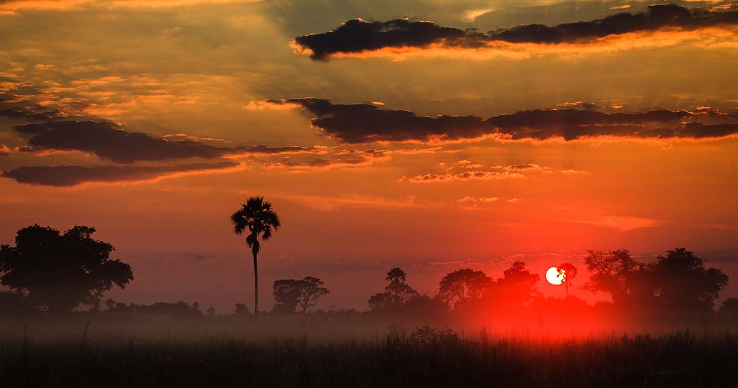Seasons in the Okavango Delta