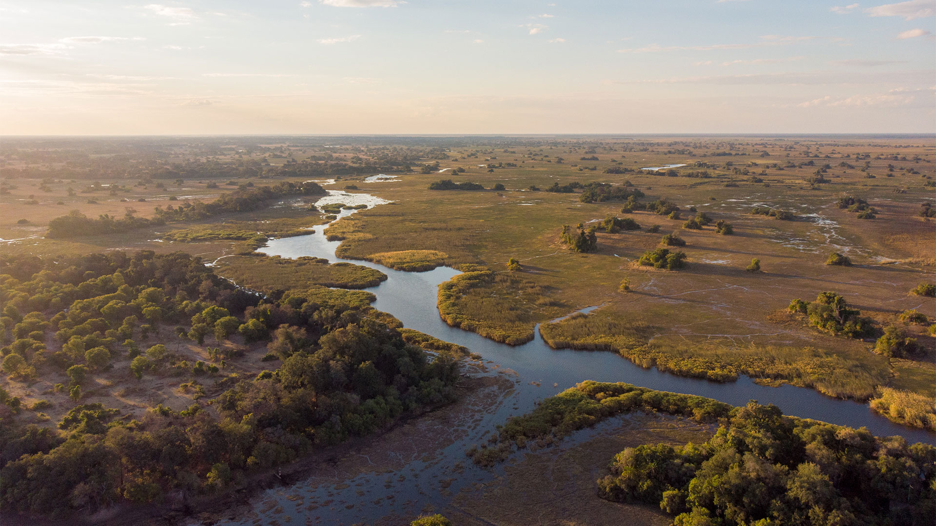 Aerial view of the Okavango Delta