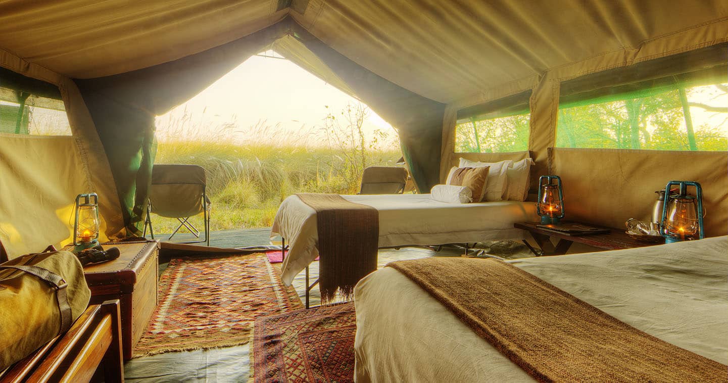 View from a Footsteps Across the Delta tent at the Bush