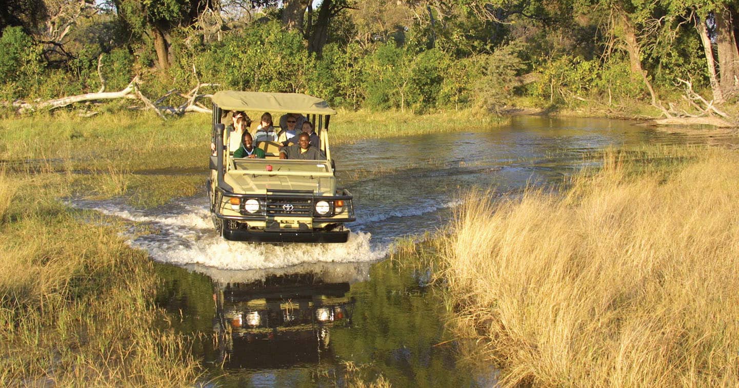 Enjoy a Safari Game Drive with Pom Pom Camp in the Okavango