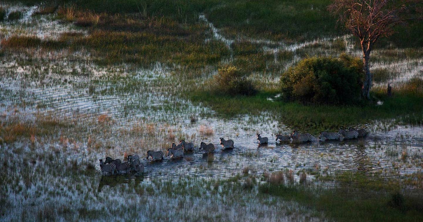 Enjoy Wildlife during a Botswana Safari when Staying at Zarafa Camp