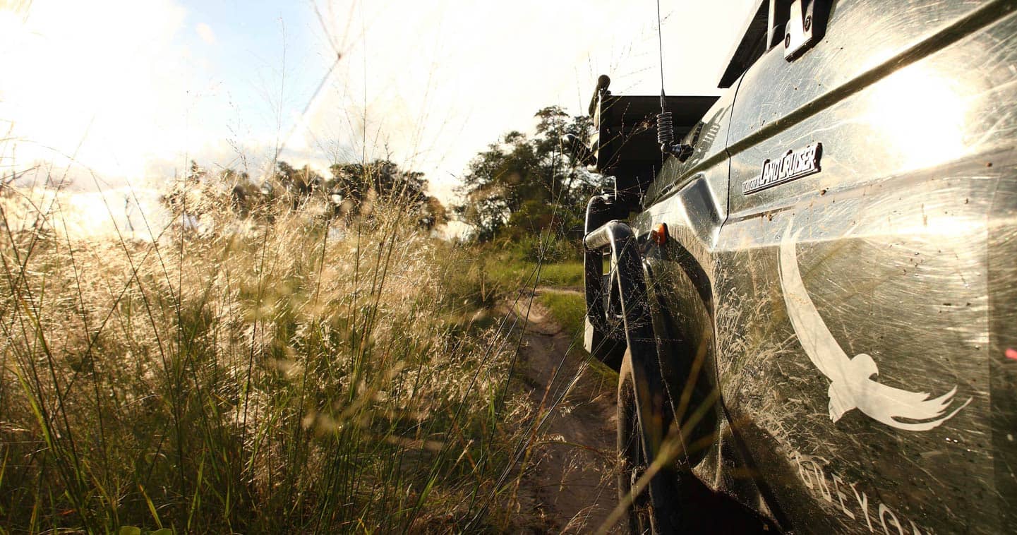 Safari Game Drive with Xaranna Okavango Delta Camp in the Okavango Delta